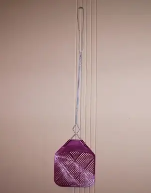fly swatter