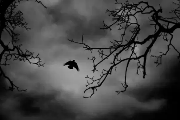 flying bird in the branches