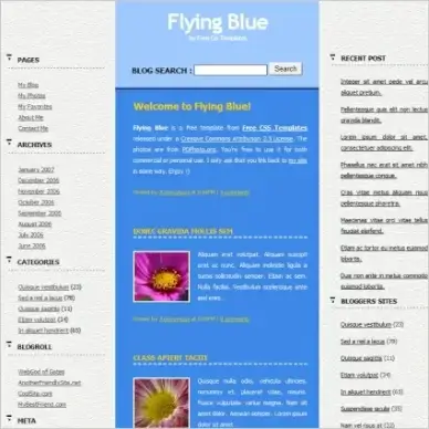 flying blue