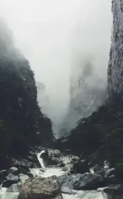 fog forest hiking landscape mist mountain national