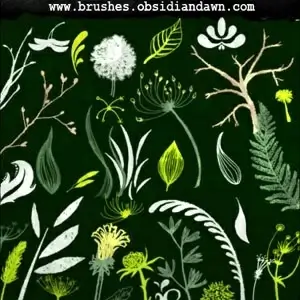 Foliage Sketches Brushes