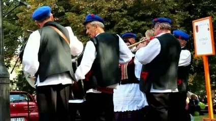 Folk musician