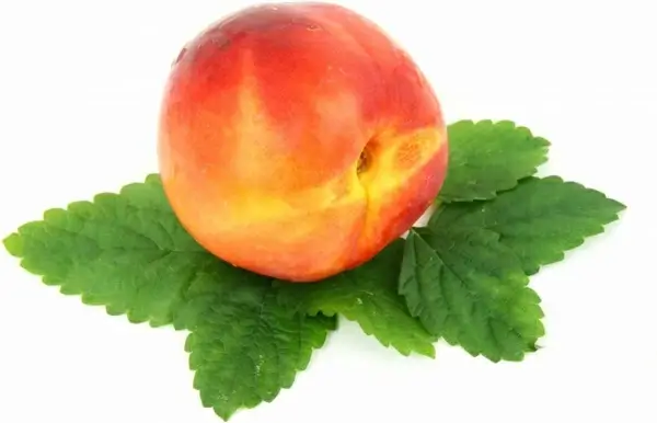 food fresh fruit