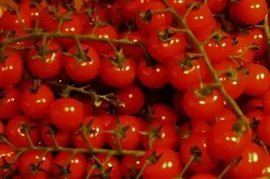 food store tomatos