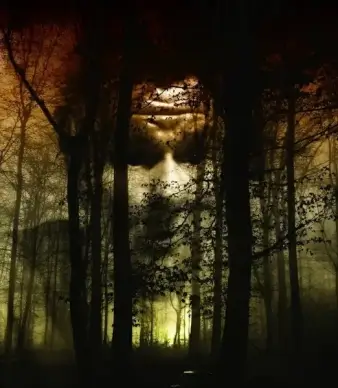 forest face fog