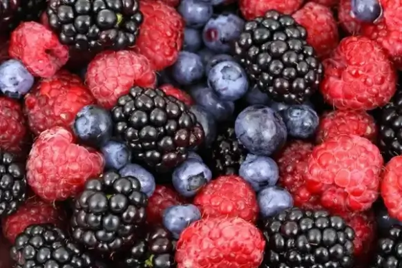 forest fruit