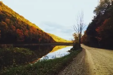forest grass hill lake mountain path pond