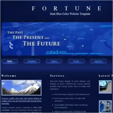  fortune