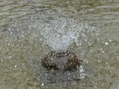fountain water inject