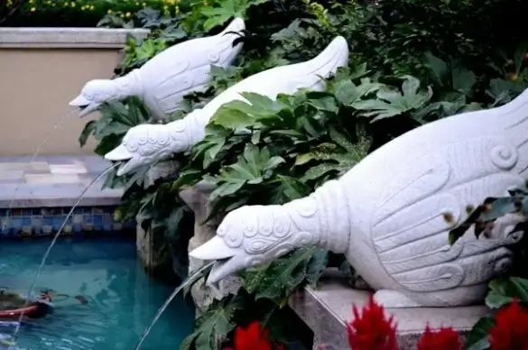 fountains spouting