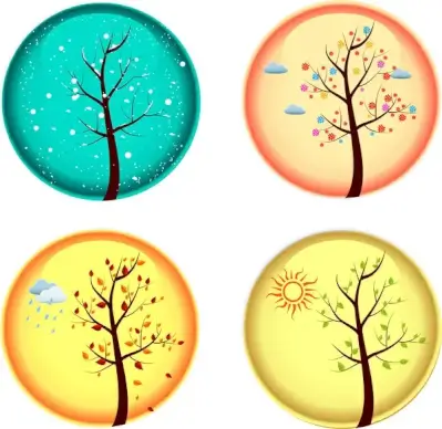 four season tree winter autumn spring summer