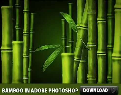 Free Bamboo PSD made in Adobe Photoshop