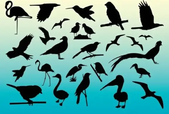 Free Birds Vector Silhouettes