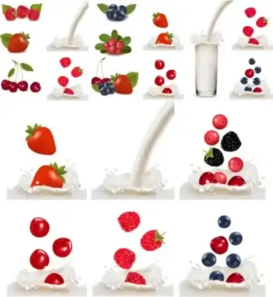 fresh fruit vector