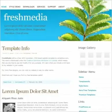Fresh Media 1.0 Template