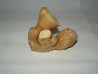 fresh root ginger