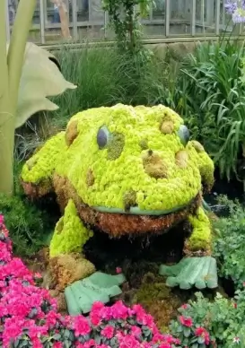 frog in botanical garden