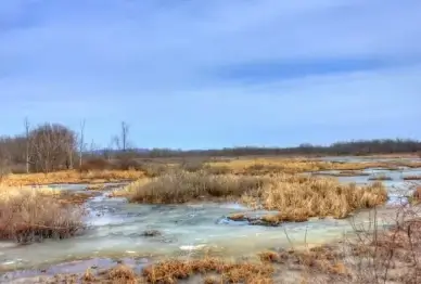 frozen marshes on the great river trail wisconsin