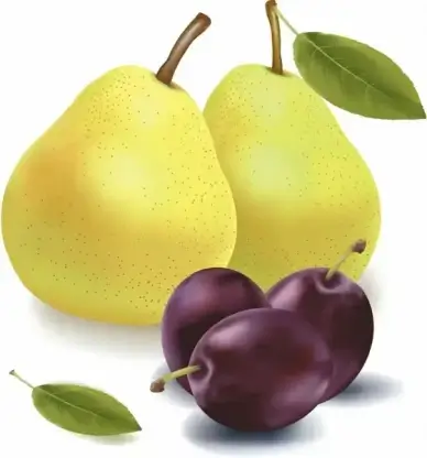fruit background pear cherry icons colored realistic design