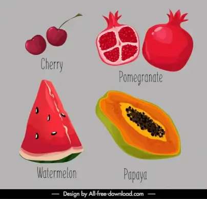 fruit icons colored classical handdrawn sketch