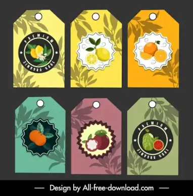 fruit labels templates elegant flat colorful decor