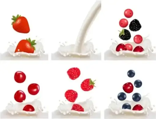 fruit milk 01 vector