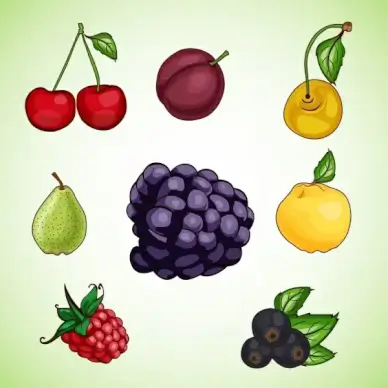 fruits icons collection flat colorful design