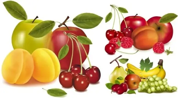 fruits vector