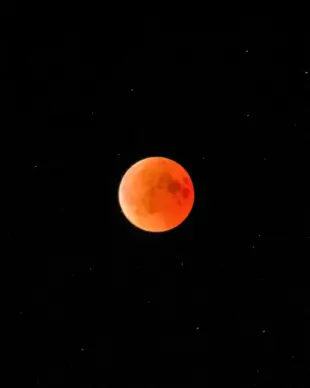 full moon night picture elegant contrast