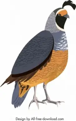 galliformes icon bird sketch colored closeup design