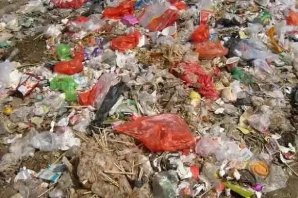 garbage pile