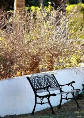 garden bench autumn