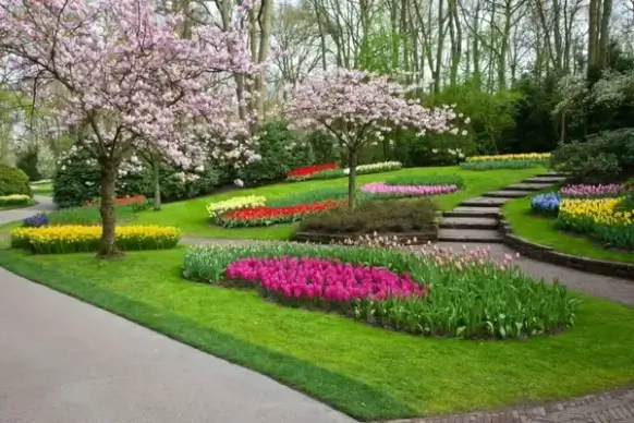 garden in blossom