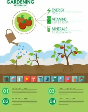 gardening work infographic fruit and tools symbols decoration