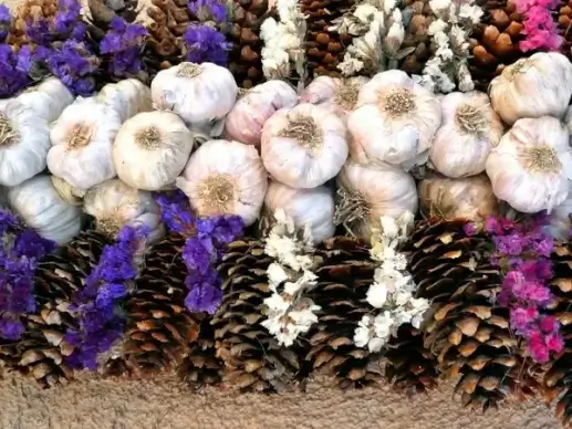 garlic spice aromatic