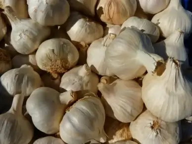 garlic spice sharp