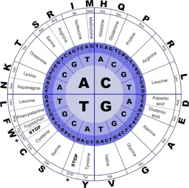 Genetic Code