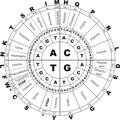 Genetic Code BW