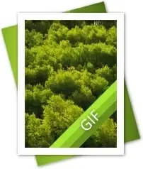 GIF File