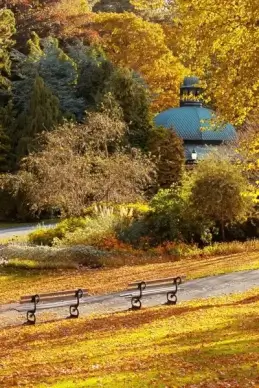 golden autumn in park