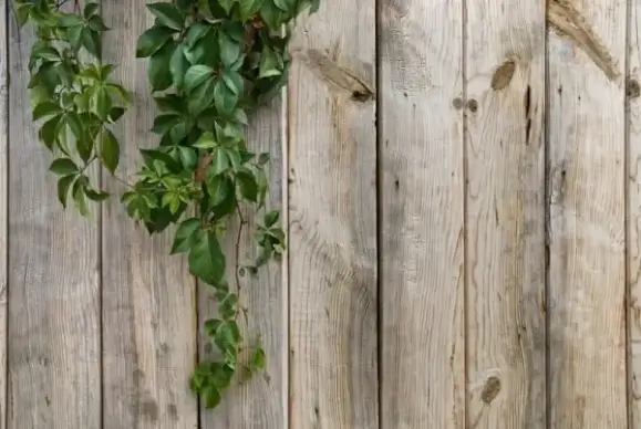 grain wood background hd picture 3