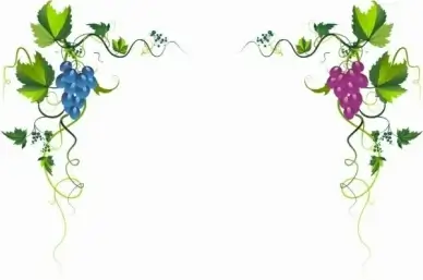 Grape tree