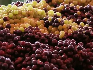grapes white grapes red grapes