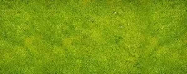grass to highdefinition picture