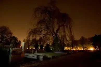 graveyard at night