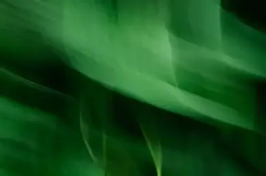 green blur 4