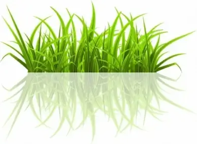 Green grass