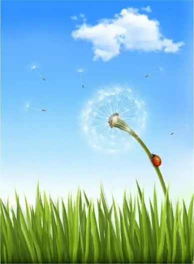 green grass with dandelion natural elements vector