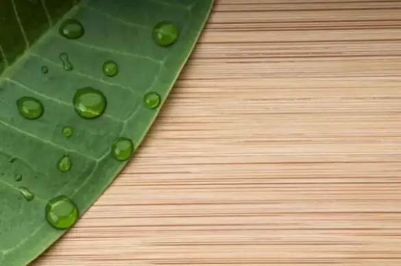 green leafy wood background 03 hd picture