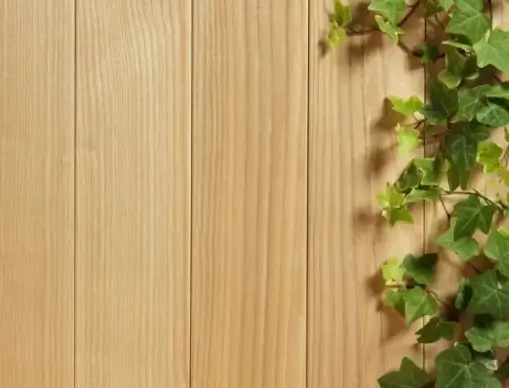 green leafy wood background 03 hd picture